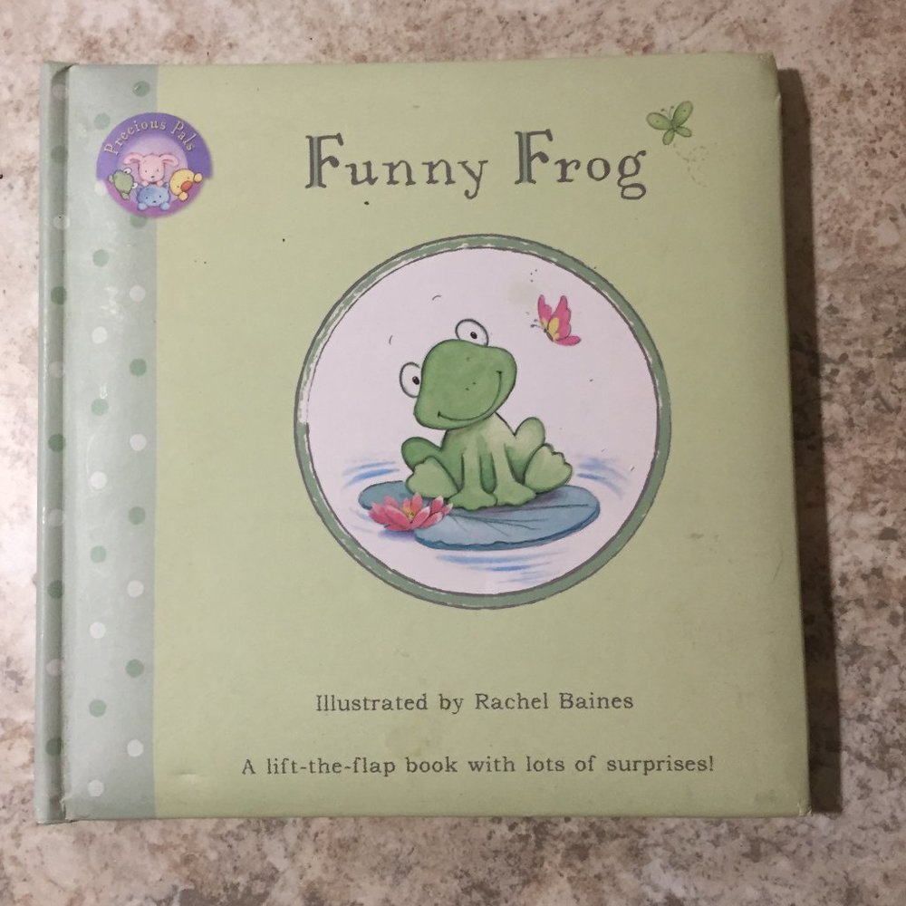 Funny Frog Storyboard Book with lift-the-flap pages by Rachel Baines